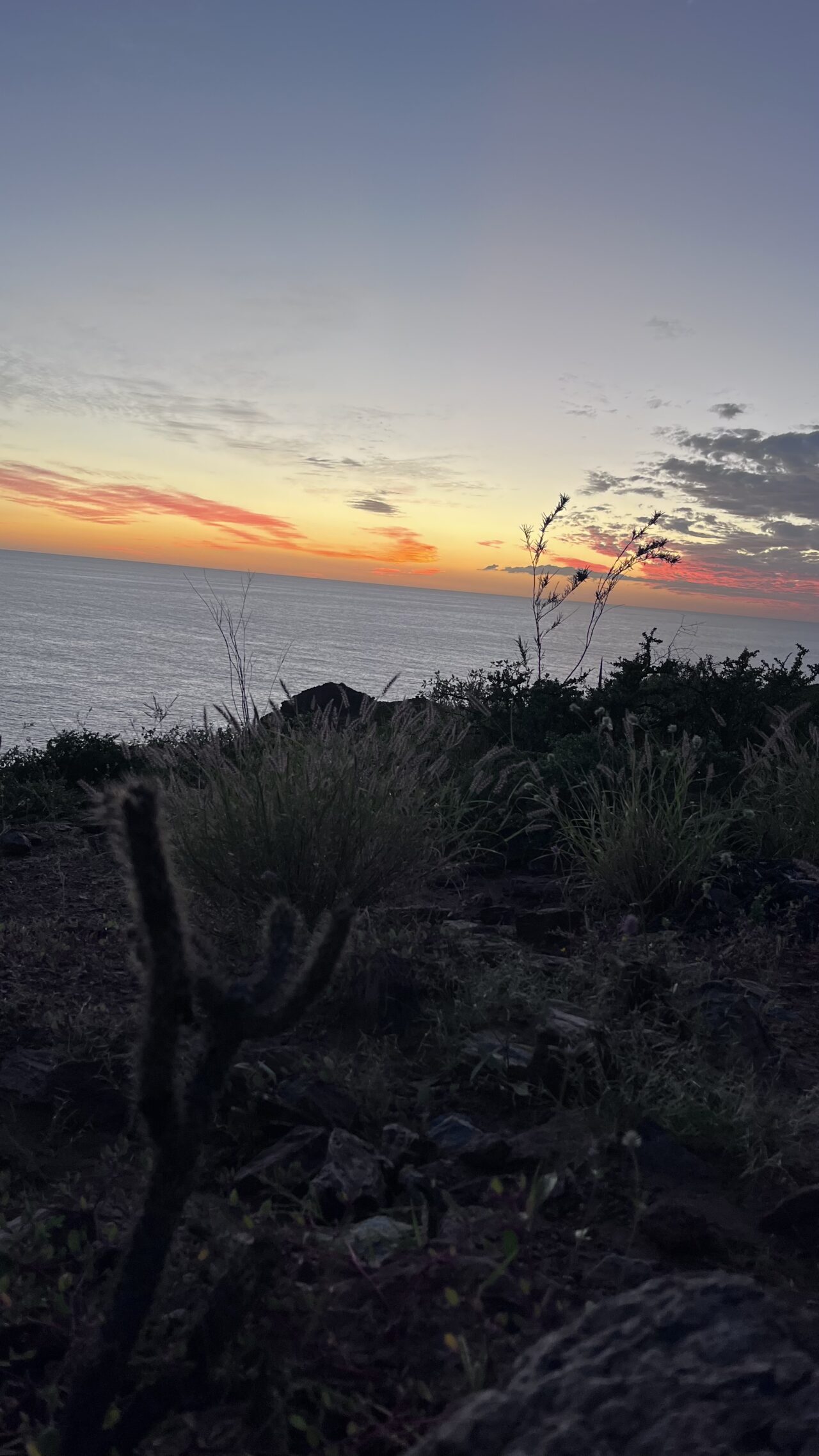 旅先で出会うもの、すべてが発見だった|ロスカボスの夕日と私の旅の原点