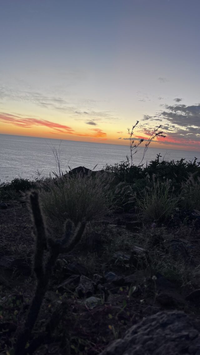 旅先で出会うもの、すべてが発見だった｜ロスカボスの夕日と私の旅の原点